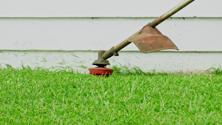 Best Aeration Services  in Burt, MI