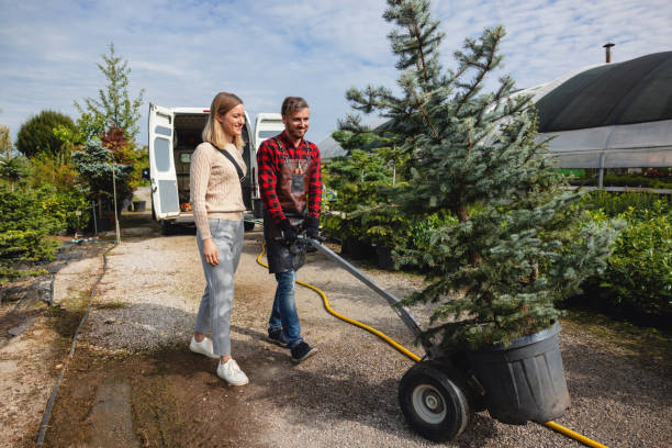 Best Seasonal Cleanup (Spring/Fall)  in Burt, MI